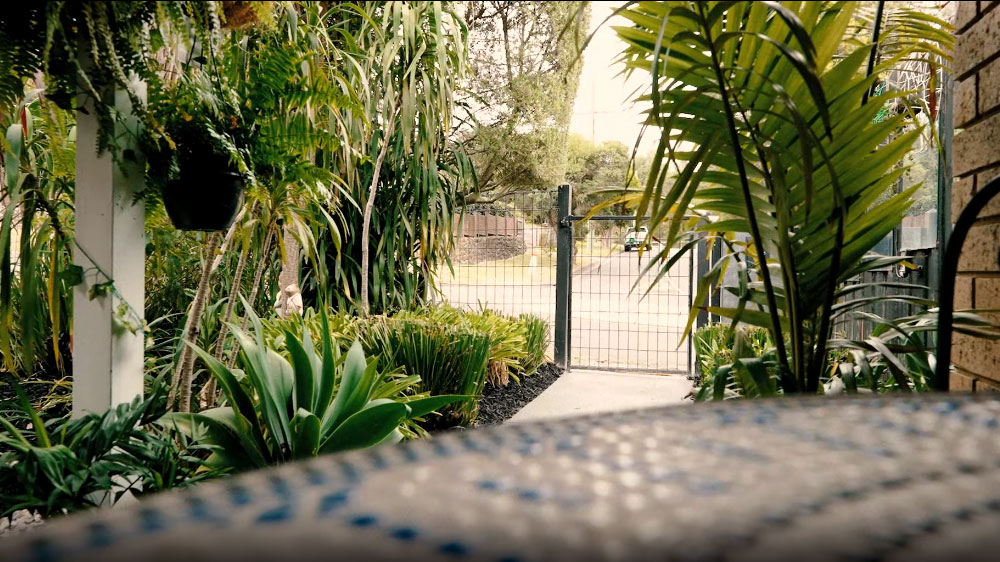 A suburban front garden facing towards the front gate