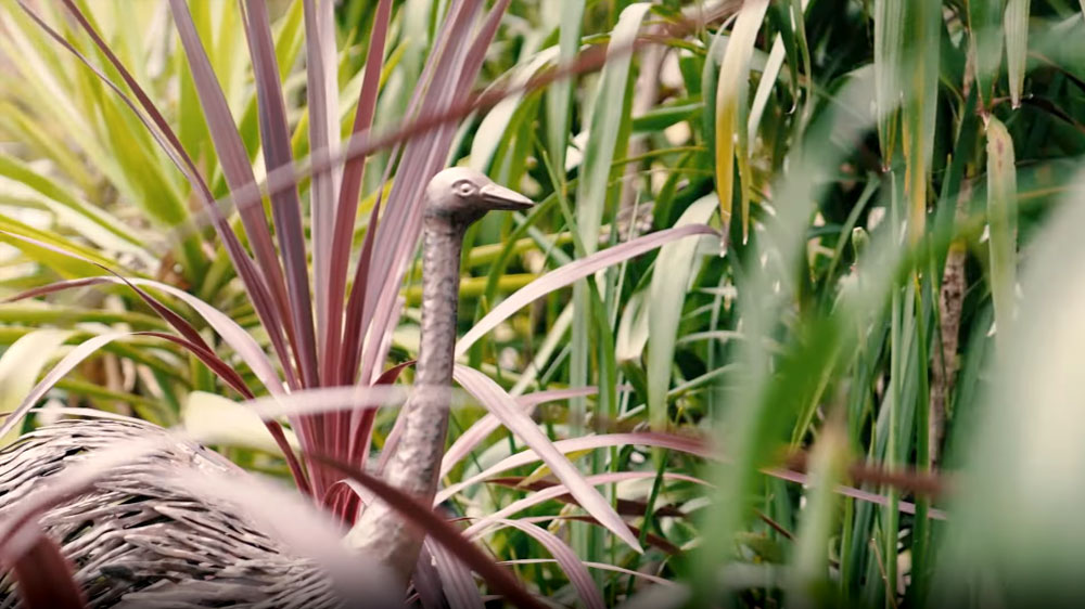 An ornamental emu peeking through the garden