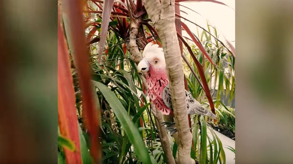 An ornamental galah sitting in a tree