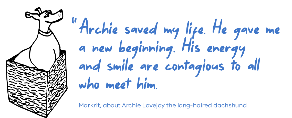 Archie saved my life. He gave me a new beginning. His energy and smile are contagious to all who meet him. Markrit, about Archie Lovejoy the long-haired dachshund.