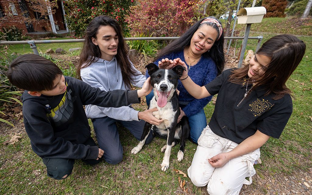 Jules, family and Bobika the Kelpie Border Collie Mix