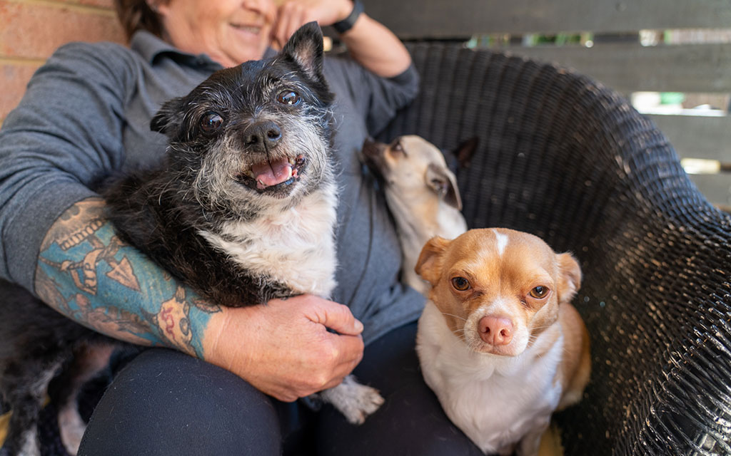 Kylie with Molly the Shih Tzu Mix and Buddy the Chihuahua